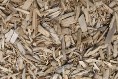 biomass boilers Little Haywood